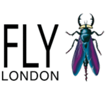 FLY