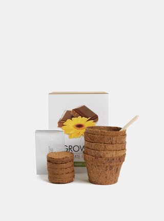 Set pentru a creste flori de ciocolata Gift Republic Chocolate Flowers
