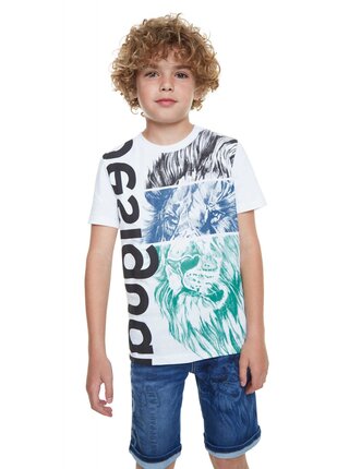 Desigual chlapecké tričko TS Freddie