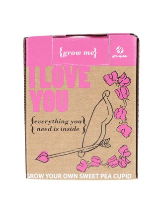 Set pro vypěstování květiny Gift Republic Grow me I love you!
