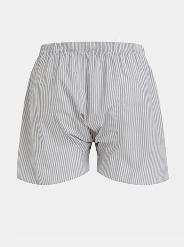 Bílo-šedé pánské pruhované trenýrky ELKA Underwear