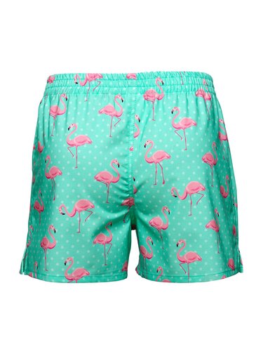Slippsy tyrkysové pánské trenýrky Flamingo