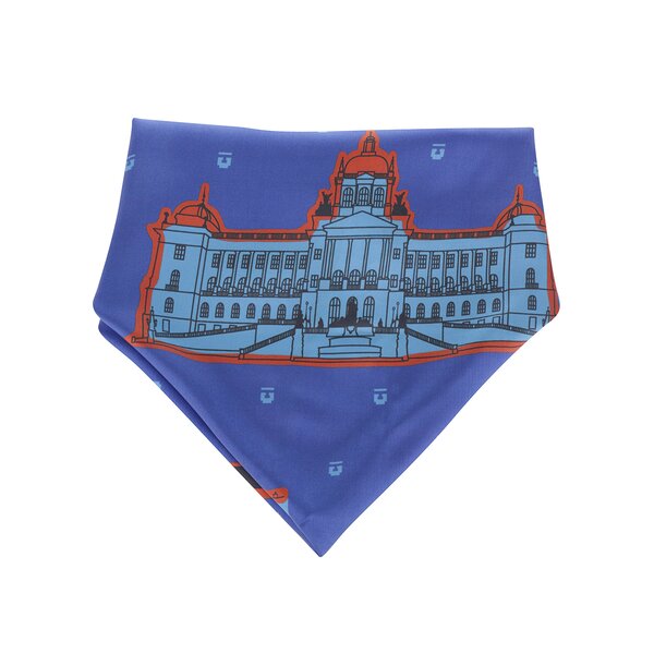 Eșarfă albastră din mătase cu print - Emblemm