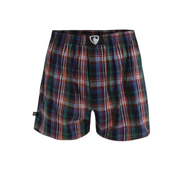 Boxeri din bumbac in carouri albastru & verde si talie elastica cu logo - Represent Alibox