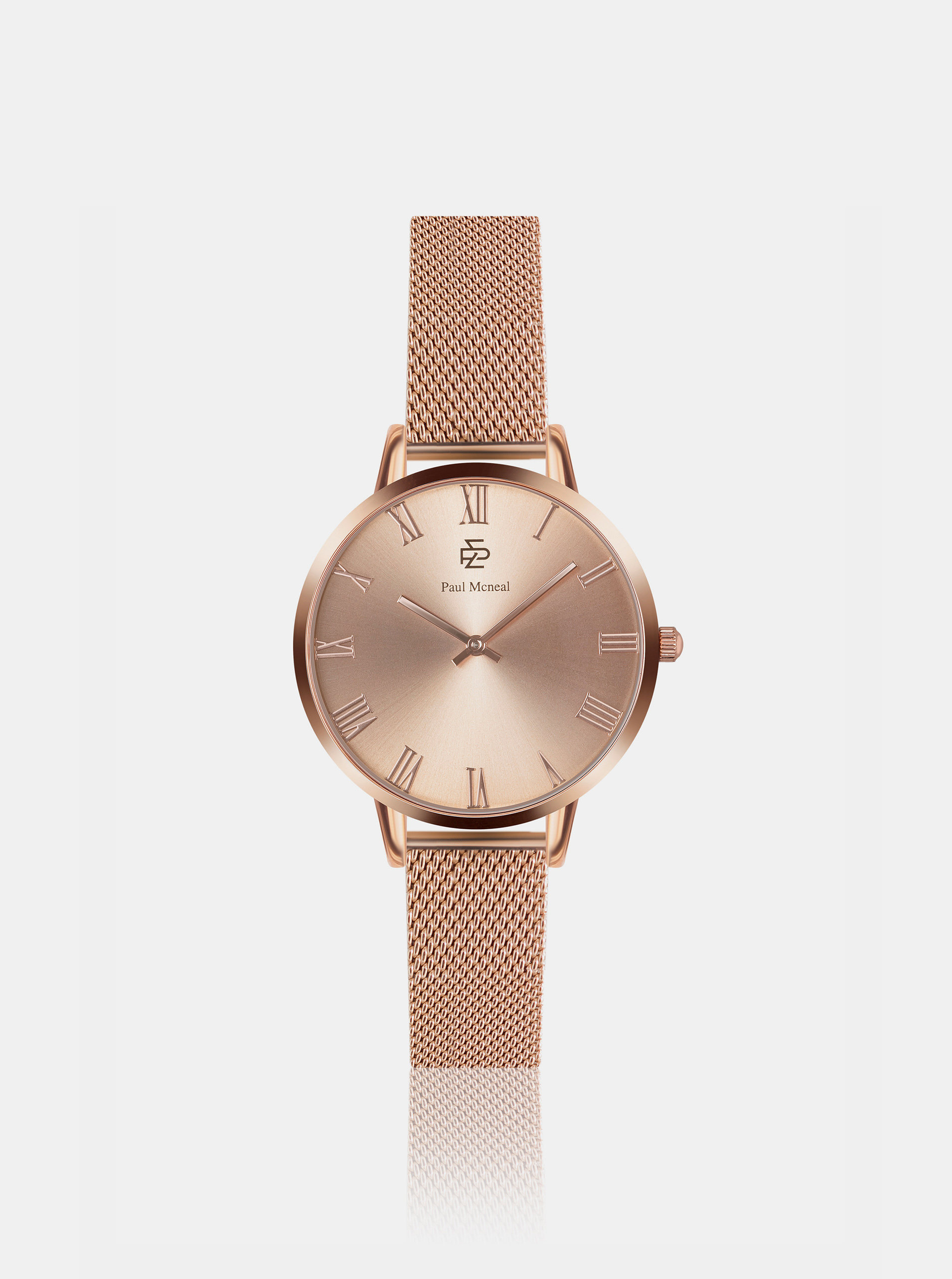 Fotografie Dámské hodinky s nerezovým páskem v růžovozlaté barvě Paul McNeal
