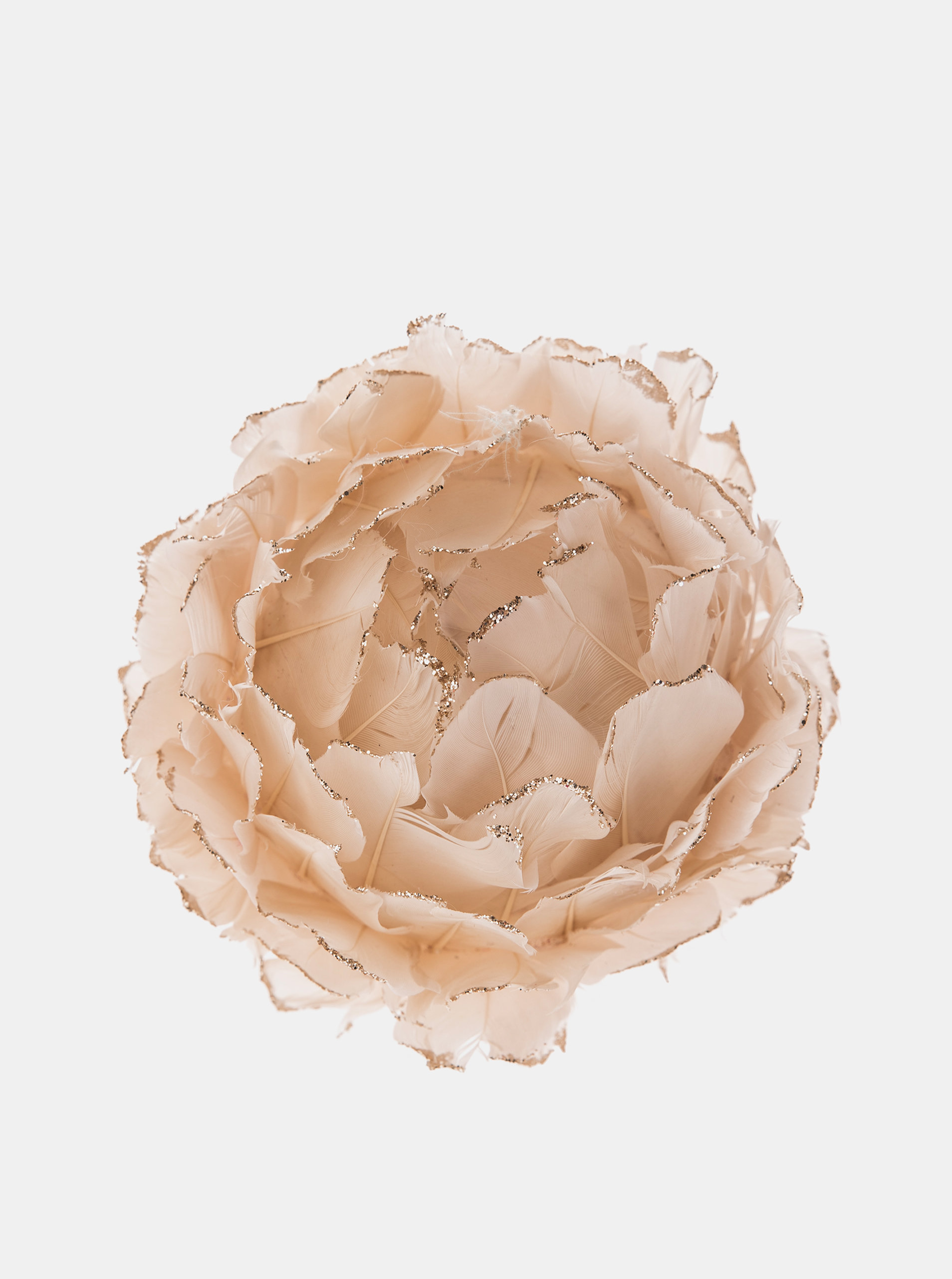 Fotografie Béžová závěsná květina Dakls