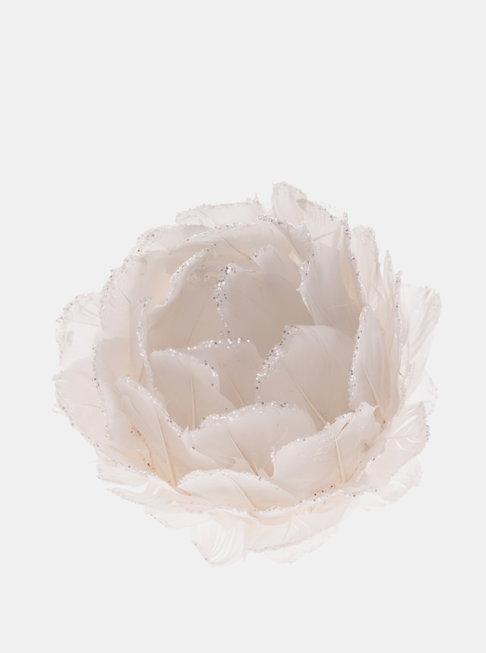 Fotografie Bílá závěsná květina Dakls