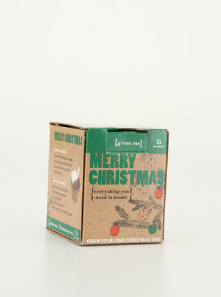 Sada pro vypěstování vánočního stromku Gift Republic Merry Christmas